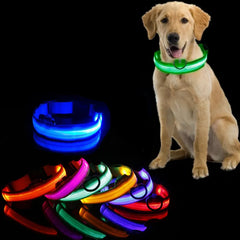 Glow Pup Collar