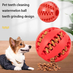 Treat Bite Toy