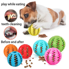 Treat Bite Toy