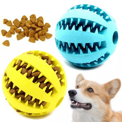 Treat Bite Toy